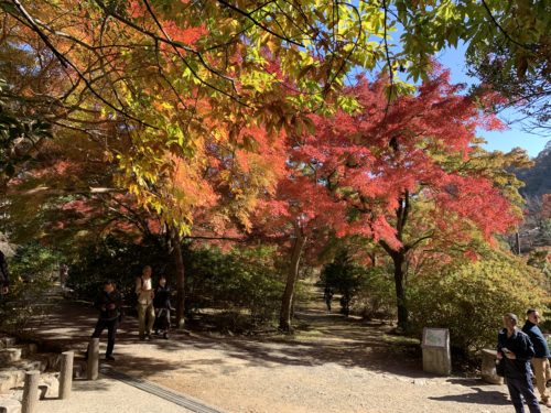 嵐山公園内の紅葉