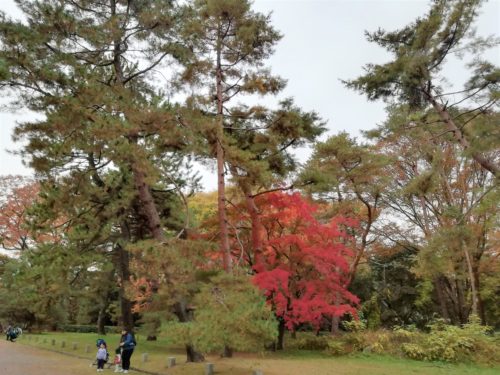 京都御苑2